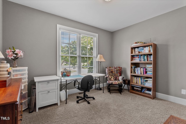 6108 Thornbridge Way, Wilson, NC 27896 - photo 40