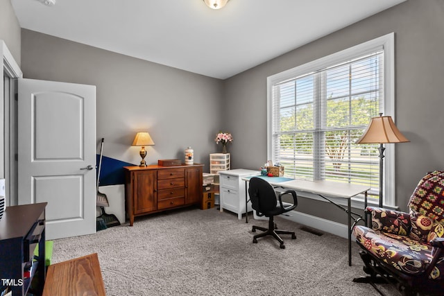 6108 Thornbridge Way, Wilson, NC 27896 - photo 41