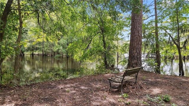 1855 Riverside Blvd, Lumberton, NC 28358 - photo 49
