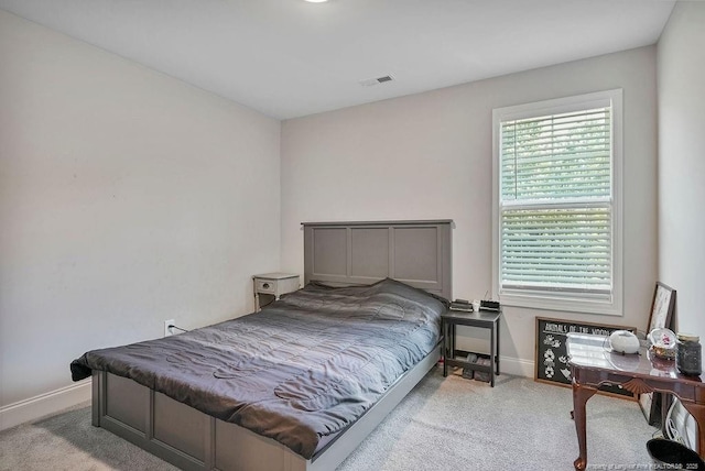 121 Tanna Pl, Cameron, NC 28326 - photo 27