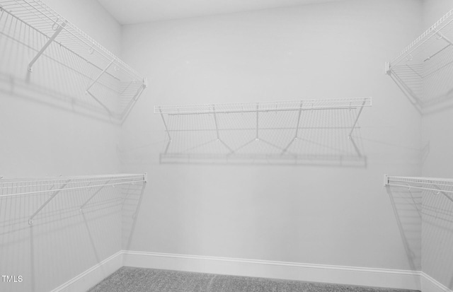 2421 Forsythia Trl, Fuquay Varina, NC 27526 - photo 15