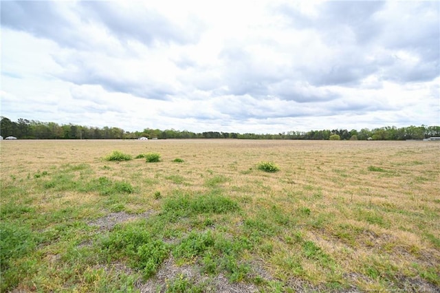 95 Mamie Rd, Benson, NC 27504 - photo 1