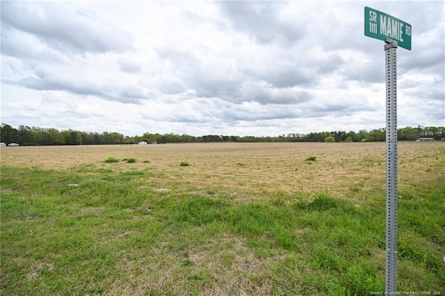95 Mamie Rd, Benson, NC 27504 - photo 2