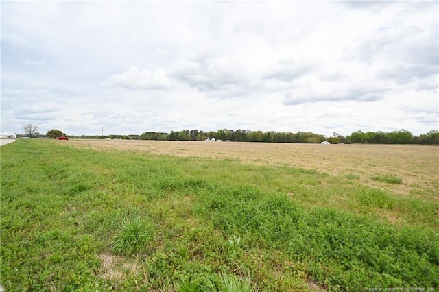 95 Mamie Rd, Benson, NC 27504 - photo 4
