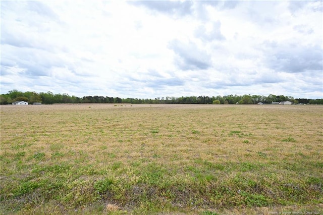 95 Mamie Rd, Benson, NC 27504 - photo 7