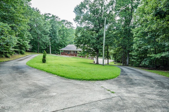 5313 Bass Mountain Rd, Snow Camp, NC 27349 - photo 32