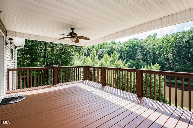 5313 Bass Mountain Rd, Snow Camp, NC 27349 - photo 23