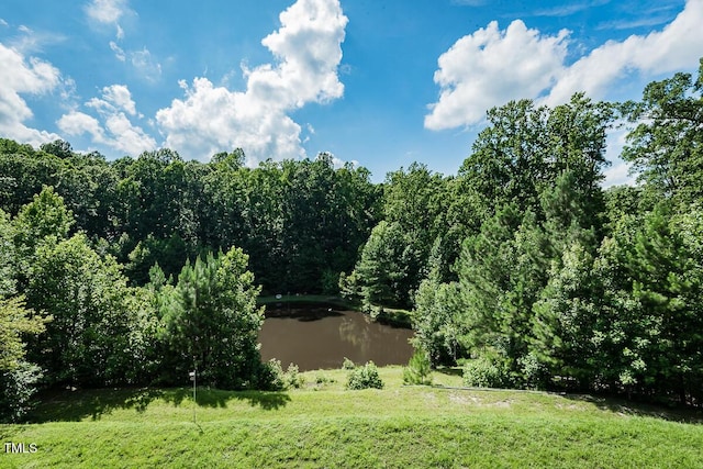 5313 Bass Mountain Rd, Snow Camp, NC 27349 - photo 25