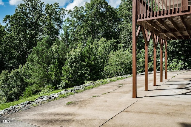 5313 Bass Mountain Rd, Snow Camp, NC 27349 - photo 24