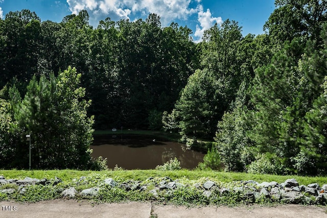 5313 Bass Mountain Rd, Snow Camp, NC 27349 - photo 33