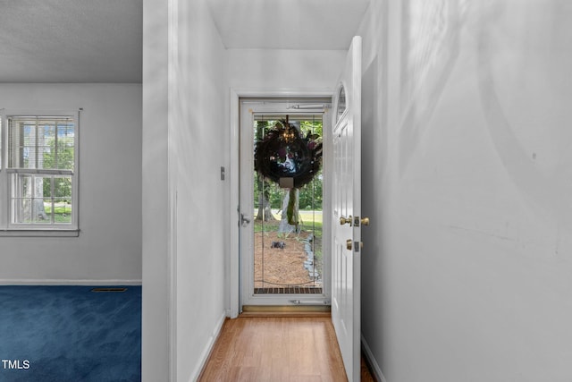 115 Macwood Dr, Durham, NC 27712 - photo 4