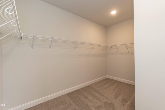 107 Brighton St, La Grange, NC 28551 - photo 19