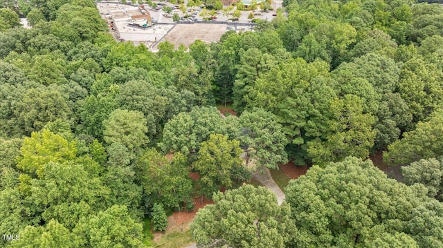 9228 Oneal Rd, Raleigh, NC 27613 - photo 41