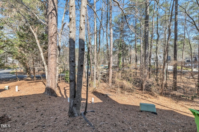 6036 Epping Forest Dr, Raleigh, NC 27613 - photo 34