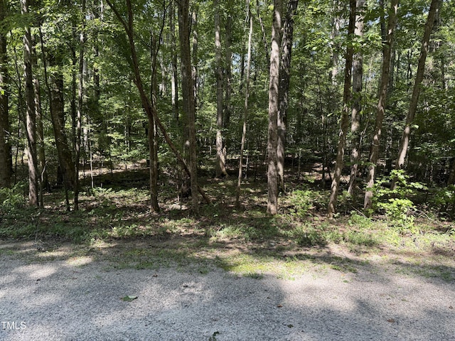 0 Summer Pl, Macon, NC 27551 - photo 2
