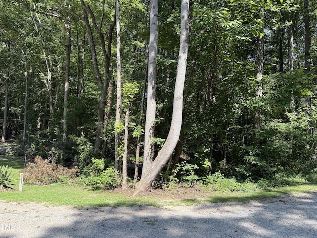 0 Summer Pl, Macon, NC 27551 - photo 3