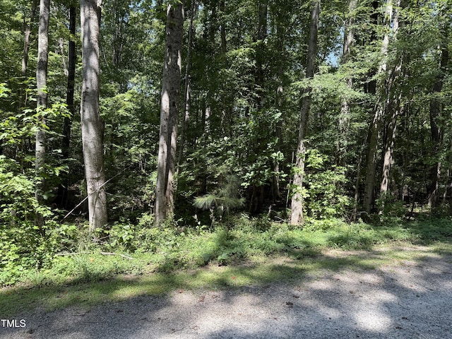 0 Summer Pl, Macon, NC 27551 - photo 4