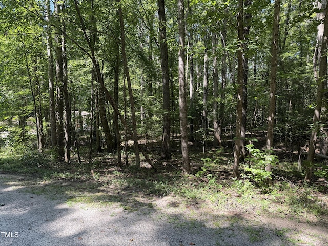 0 Summer Pl, Macon, NC 27551 - photo 5