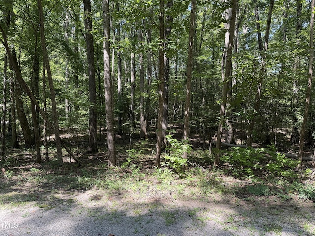 0 Summer Pl, Macon, NC 27551 - photo 6