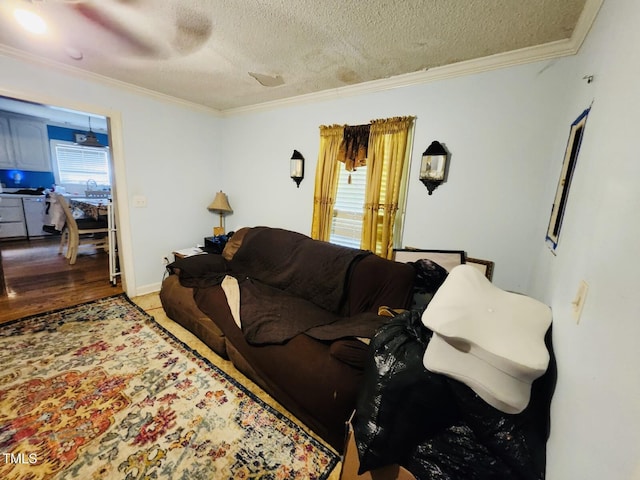 11625 NC-39 Hwy, Zebulon, NC 27597 - photo 8