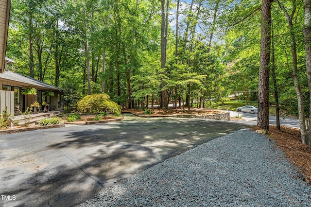 1730 Allard Rd, Chapel Hill, NC 27514 - photo 45