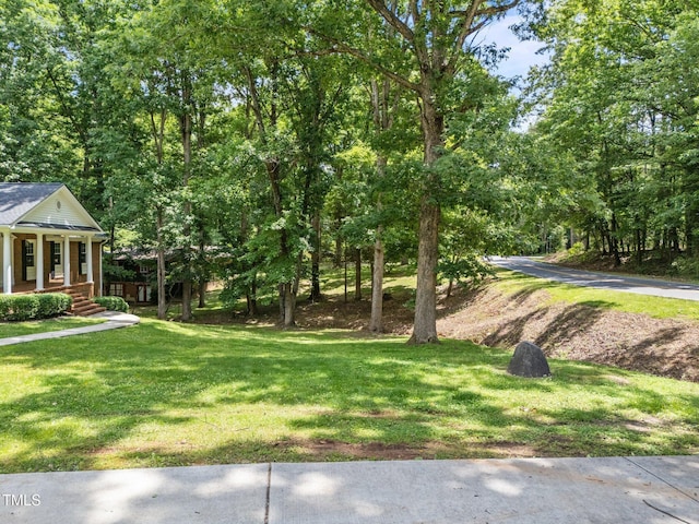 3204 Manor Ridge Dr, Raleigh, NC 27603 - photo 48