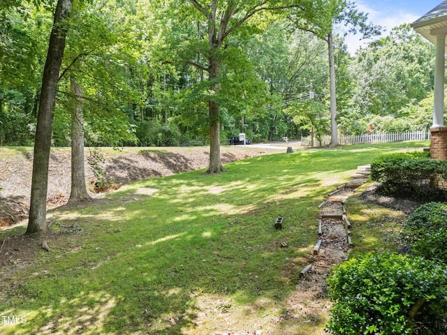 3204 Manor Ridge Dr, Raleigh, NC 27603 - photo 49