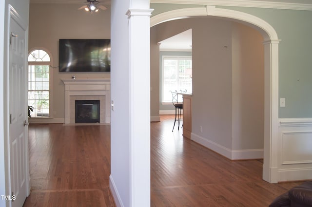 4009 High Mountain Dr, Raleigh, NC 27603 - photo 19