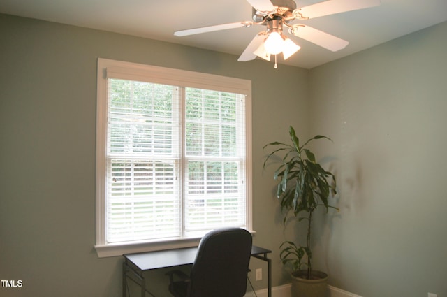 4009 High Mountain Dr, Raleigh, NC 27603 - photo 21