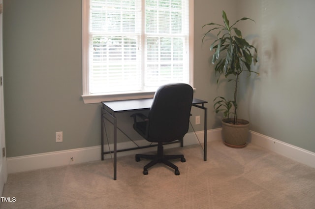 4009 High Mountain Dr, Raleigh, NC 27603 - photo 22