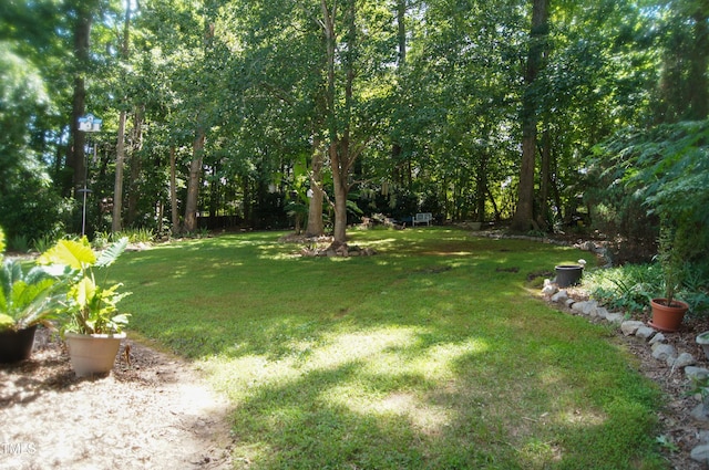 4009 High Mountain Dr, Raleigh, NC 27603 - photo 43