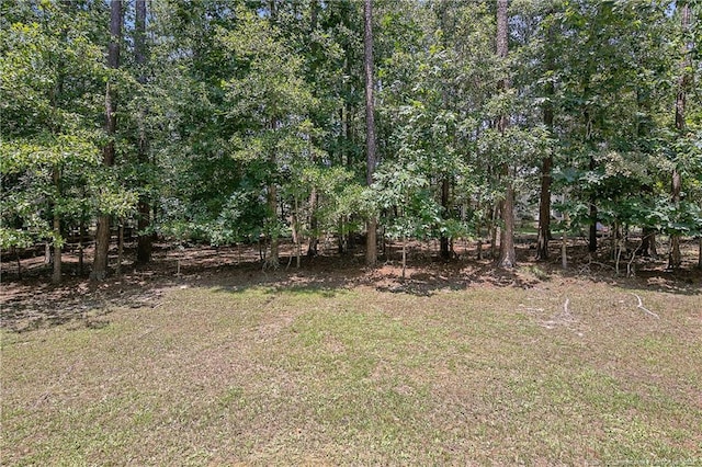 3270 Carolina Way, Sanford, NC 27332 - photo 50
