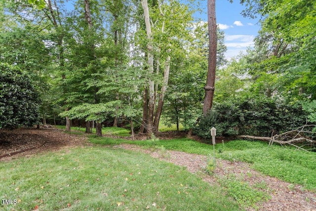 6 Foxlair Ct, Durham, NC 27712 - photo 30