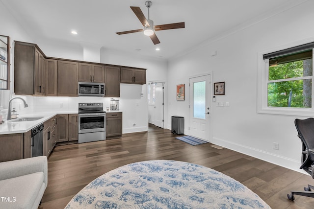 420 Camden St, Raleigh, NC 27601 - photo 32