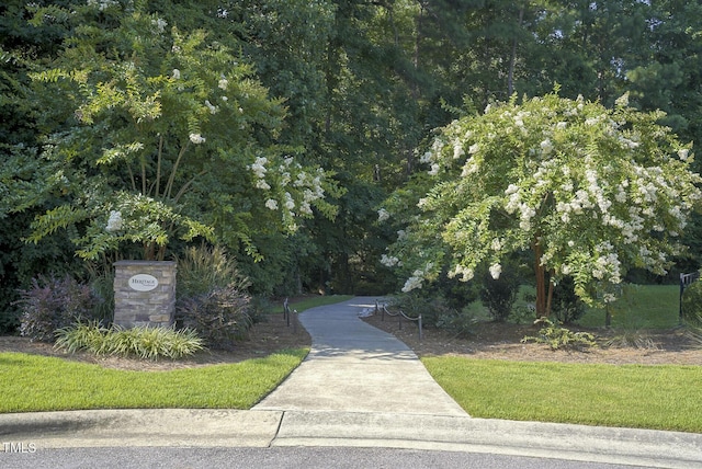 5724 Lord Granville Way, Rolesville, NC 27571 - photo 58