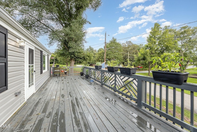 1003 Willow St, Eden, NC 27288 - photo 4
