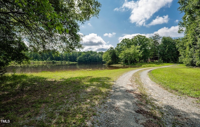 2918-3000 Chestnut Ridge Church Rd, Efland, NC 27243 - photo 7