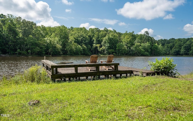 2918-3000 Chestnut Ridge Church Rd, Efland, NC 27243 - photo 12