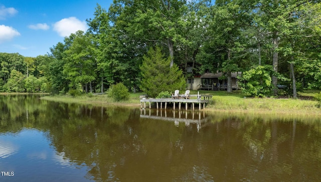2918-3000 Chestnut Ridge Church Rd, Efland, NC 27243 - photo 16