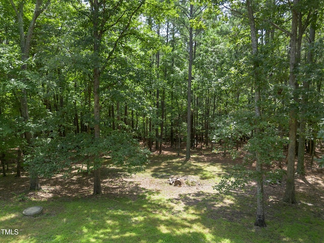 130 Turtle Creek Dr, Pittsboro, NC 27312 - photo 27