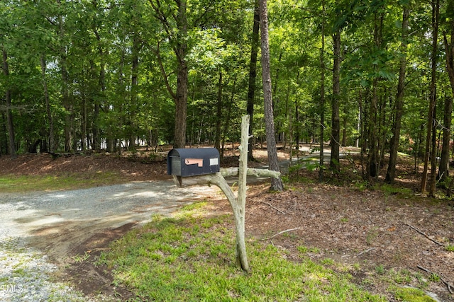 130 Turtle Creek Dr, Pittsboro, NC 27312 - photo 36