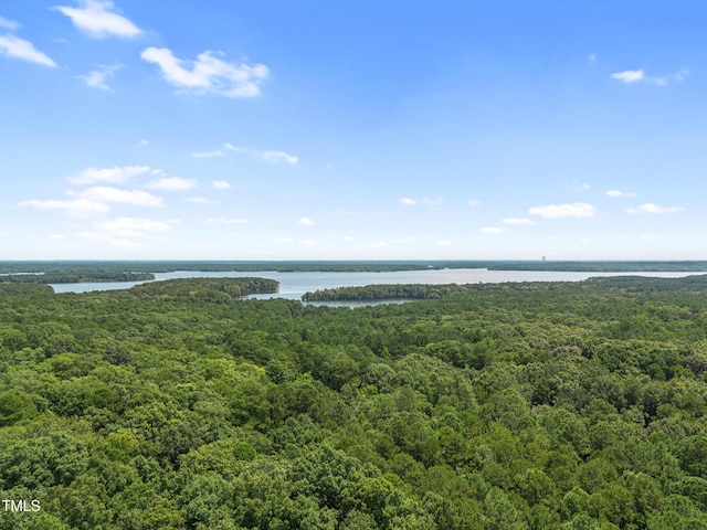 130 Turtle Creek Dr, Pittsboro, NC 27312 - photo 29