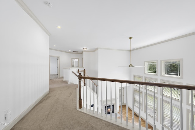 218 Ashdown Forest Ln, Cary, NC 27519 - photo 23