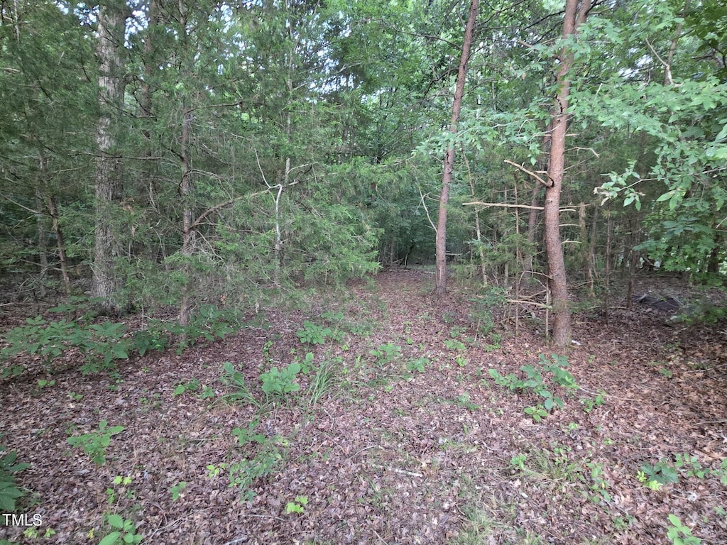 0 Bethel S Fork Rd, Graham, NC 27253 - photo 2