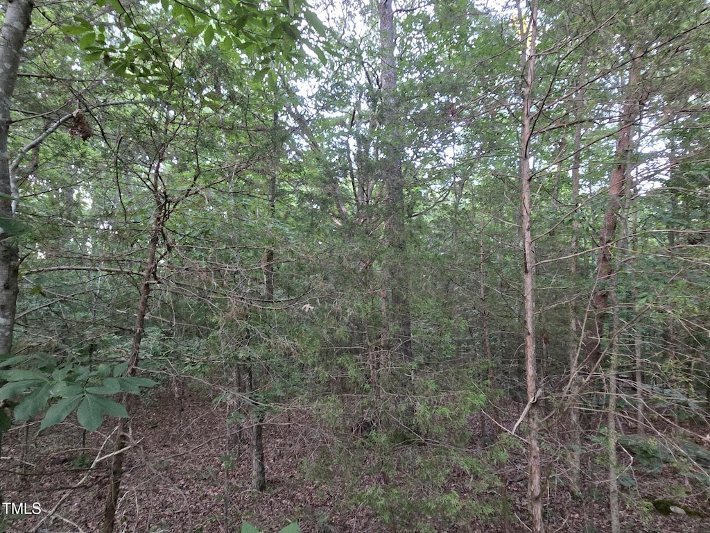 0 Bethel S Fork Rd, Graham, NC 27253 - photo 3