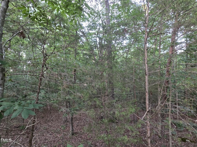 0 Bethel S Fork Rd, Graham, NC 27253 - photo 3