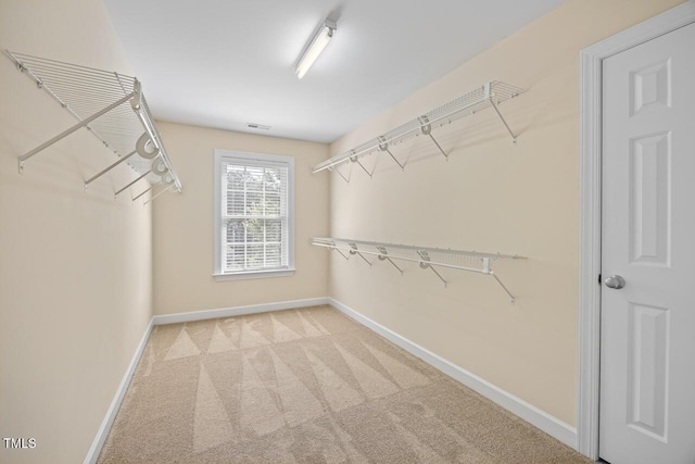 12426 Pawleys Mill Cir, Raleigh, NC 27614 - photo 28