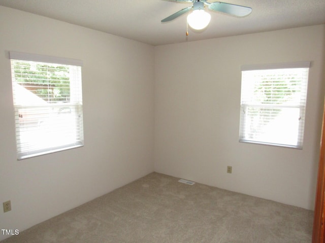 407 Chandler Rd, Durham, NC 27703 - photo 17