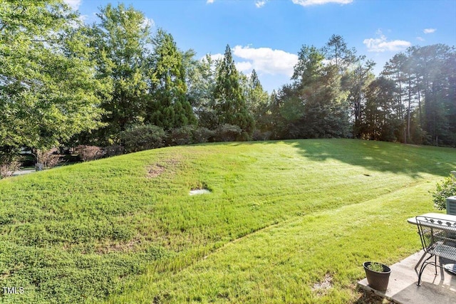 101 Golden Meadow Ct, Durham, NC 27704 - photo 27