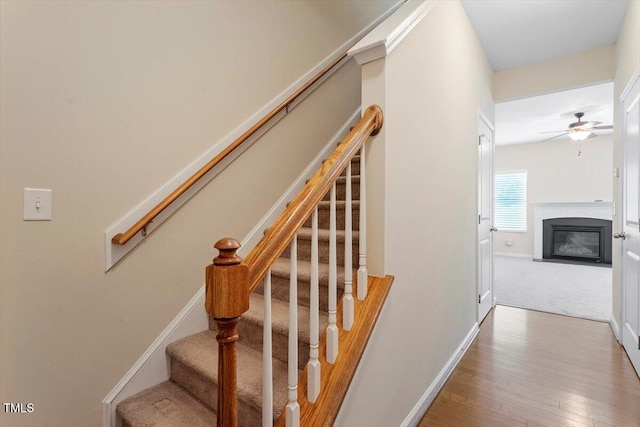 101 Golden Meadow Ct, Durham, NC 27704 - photo 5